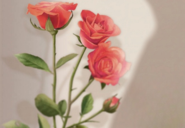 祝天下女神們節(jié)日快樂！??！